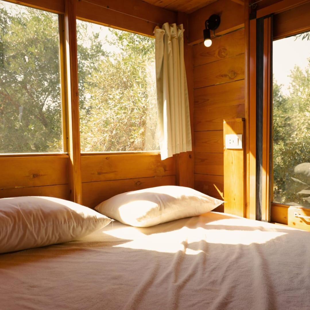 Northern Lake Lodge Izbat Ilyas Eksteriør billede