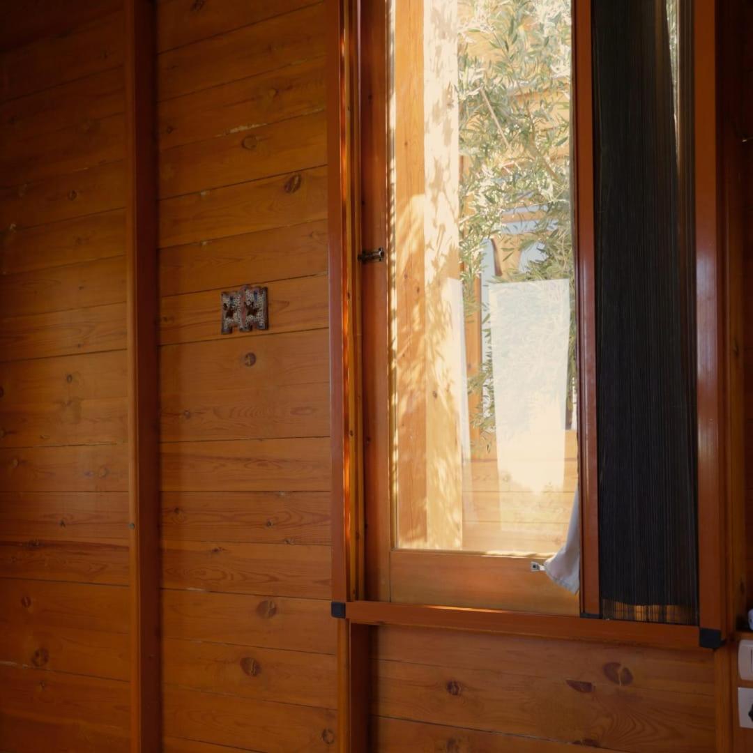 Northern Lake Lodge Izbat Ilyas Eksteriør billede